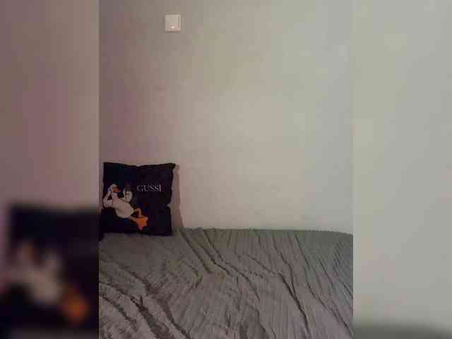 Saliss1 webcam