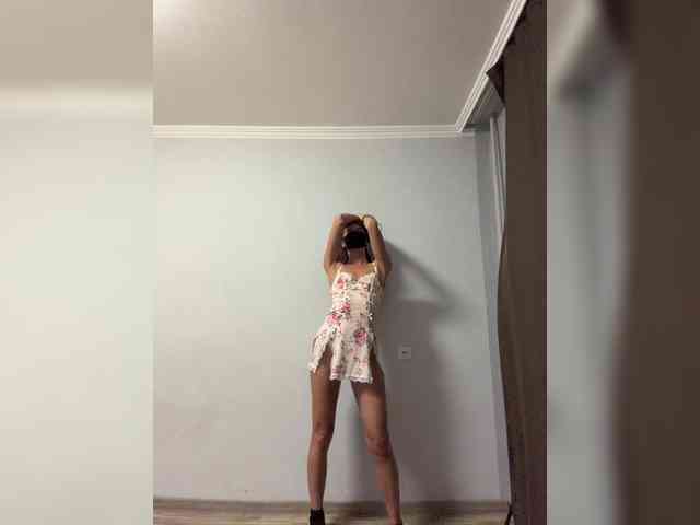 Model: Saliss1