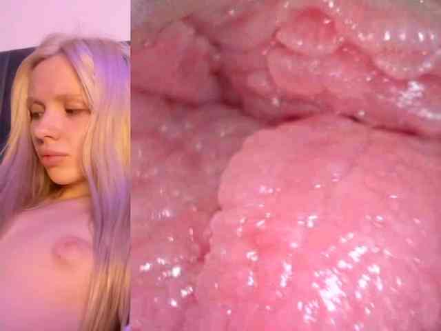 モデル: k1ss_me11