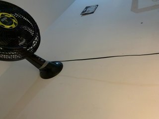 Kata-svn Porn Show