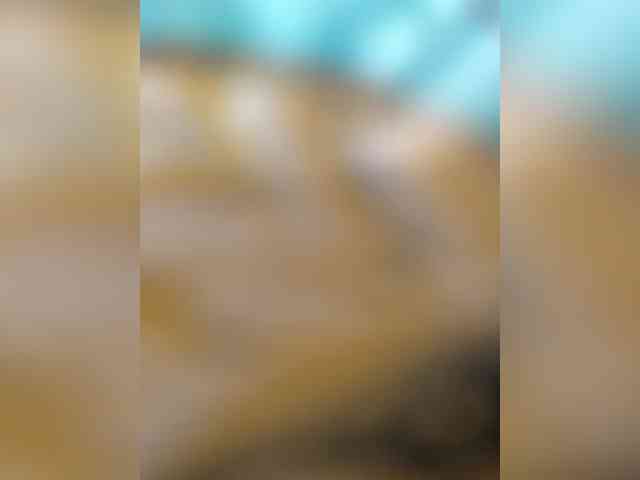Kata-svn webcam
