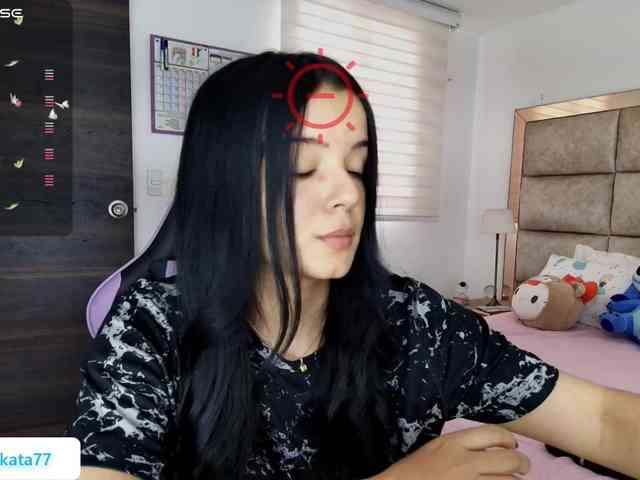 Kata-svn webcam