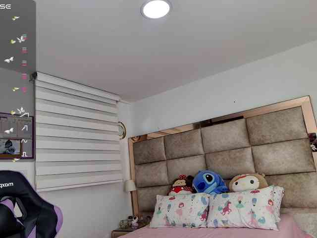Kata-svn webcam
