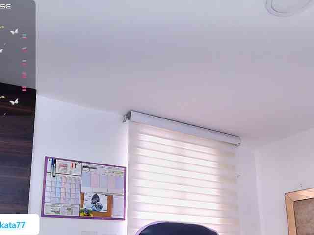Kata-svn webcam