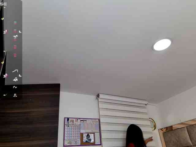 Kata-svn webcam