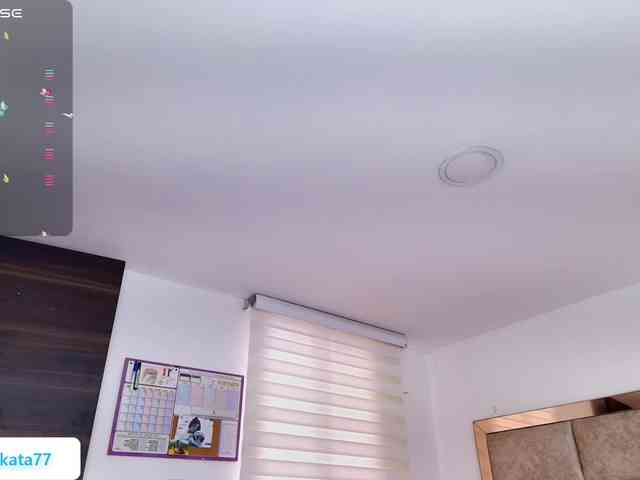 Kata-svn webcam