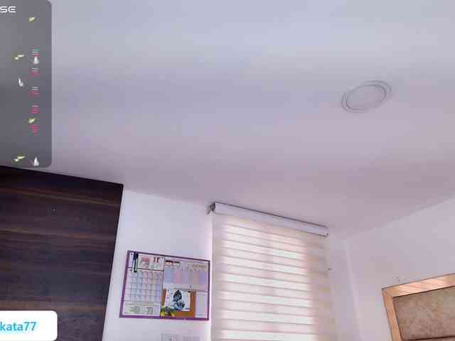 Kata-svn webcam