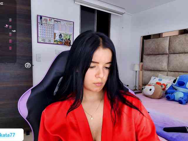 Kata-svn webcam