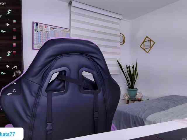 Kata-svn webcam