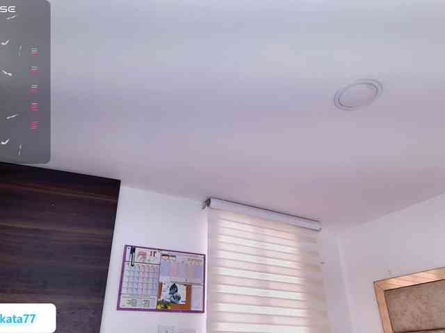 Kata-svn webcam