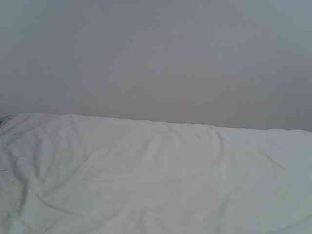 AlanaMartins webcam