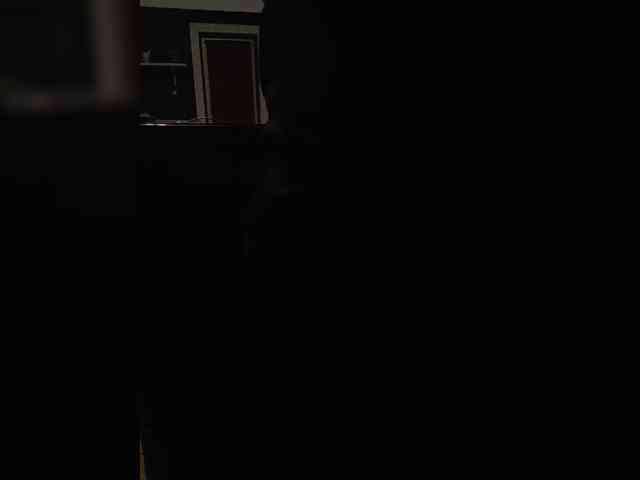 paralove1 webcam