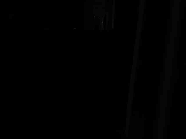 paralove1 webcam