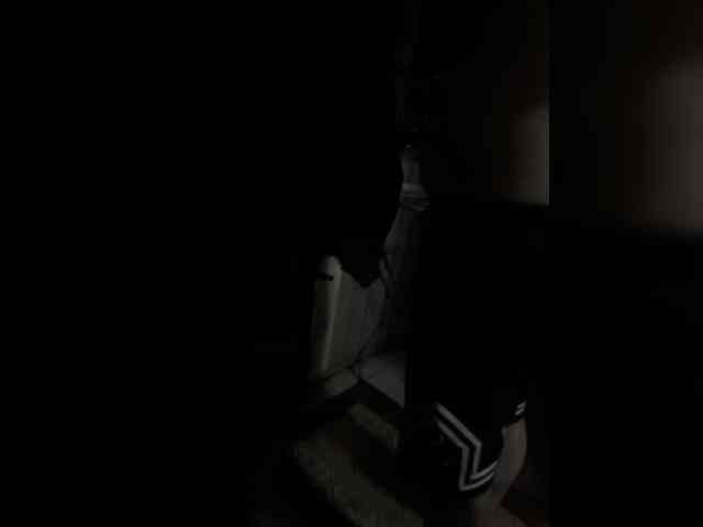 paralove1 webcam