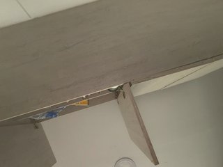 EvanShell1 Porn Show