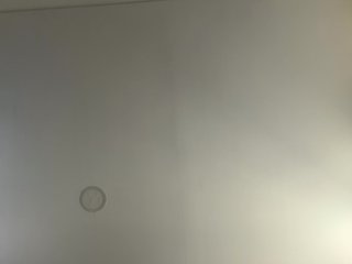EvanShell1 Porn Show