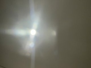 EvanShell1 Porn Show