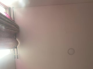 EvanShell1 Porn Show