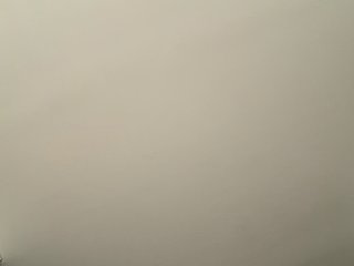 EvanShell1 Porn Show
