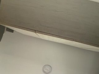 EvanShell1 Porn Show