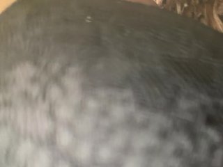 EvanShell1 Porn Show