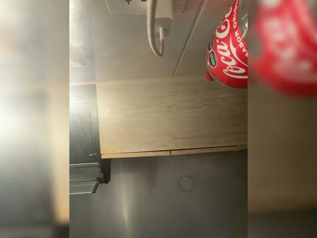 EvanShell1 live cam