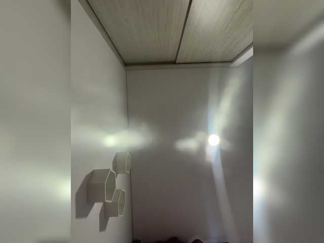 EvanShell1 live cam preview