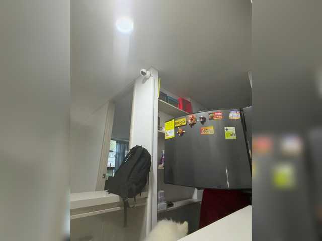 EvanShell1 live webcam show