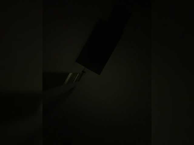 EvanShell1 live cam
