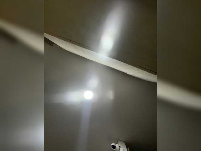 EvanShell1 live webcam show