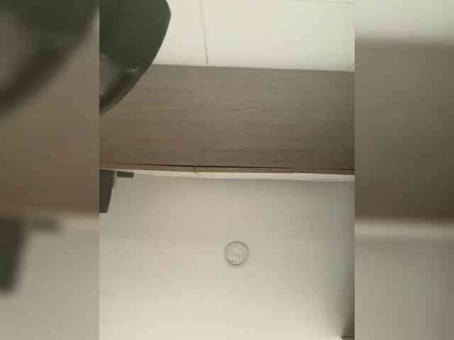 EvanShell1 webcam