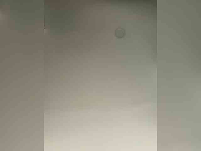 EvanShell1 webcam