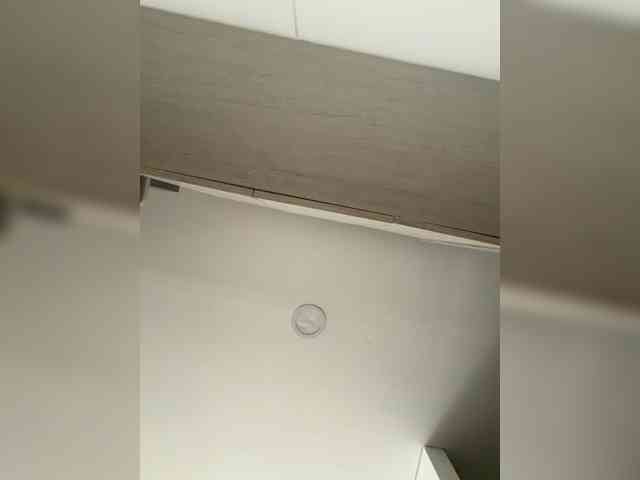 EvanShell1 webcam