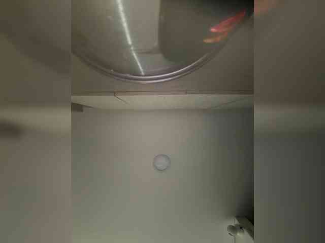 EvanShell1 webcam