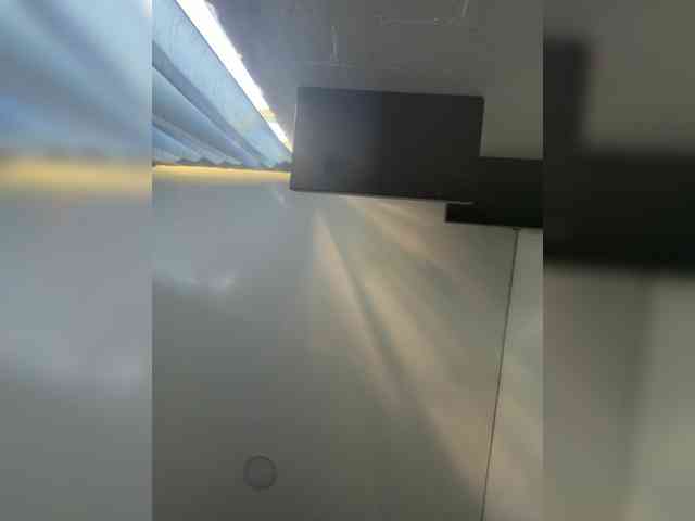 EvanShell1 webcam