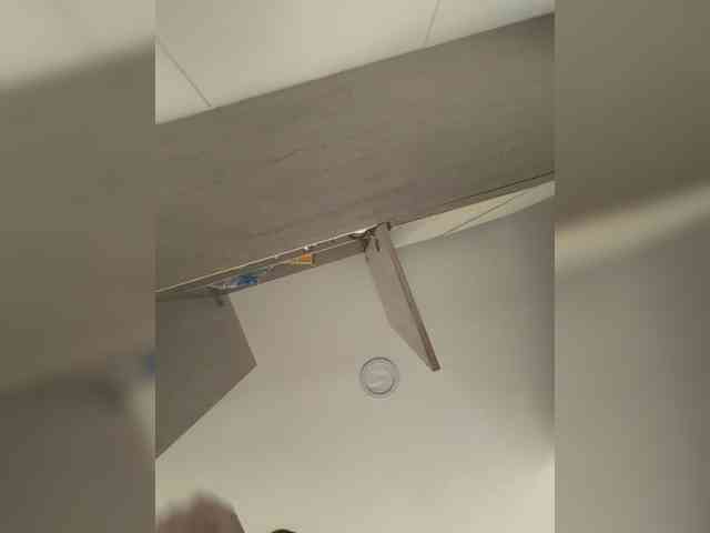 EvanShell1 webcam