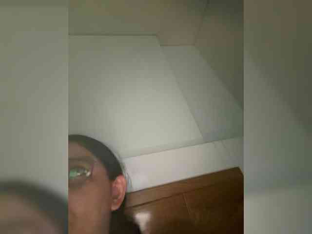 EvanShell1 webcam