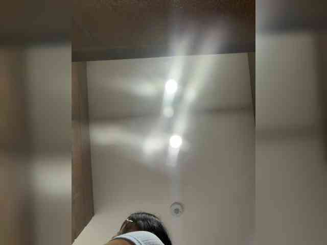 Modelo: EvanShell1