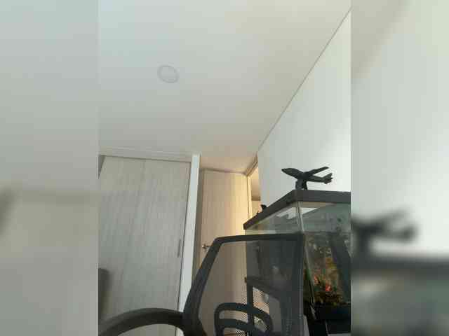 EvanShell1 webcam