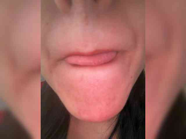 Modelo: EvanShell1