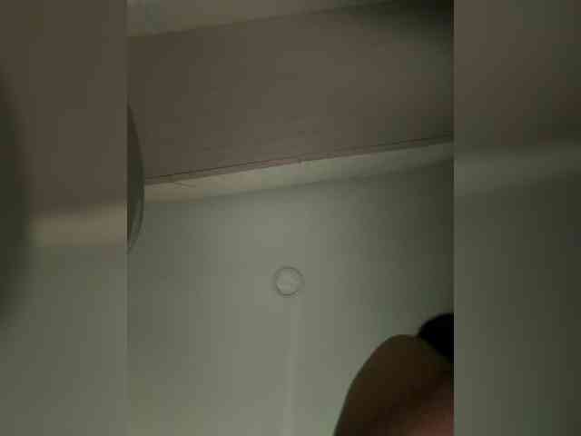 EvanShell1 webcam