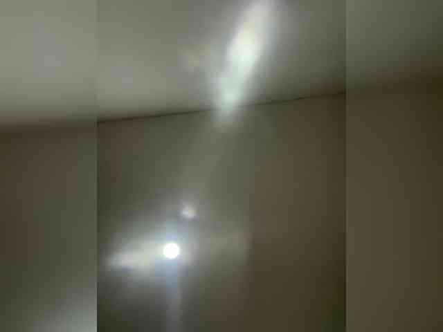 EvanShell1 webcam