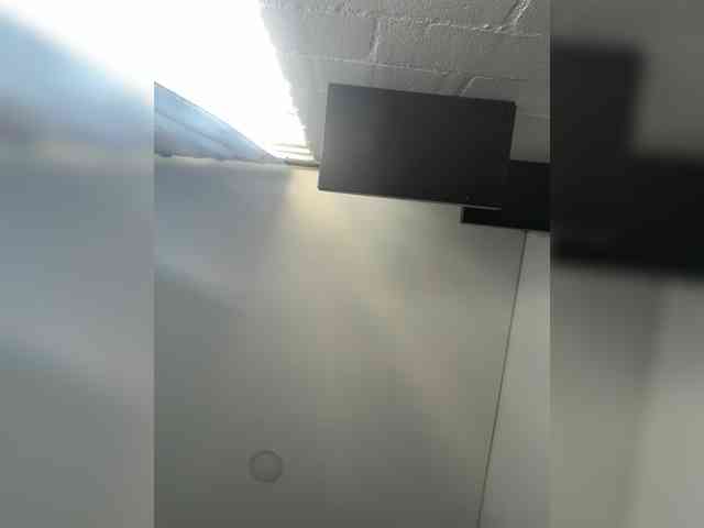 EvanShell1 webcam