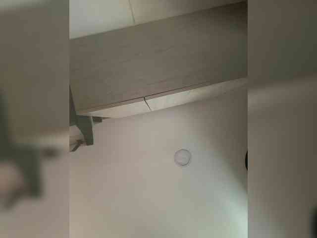 EvanShell1 webcam