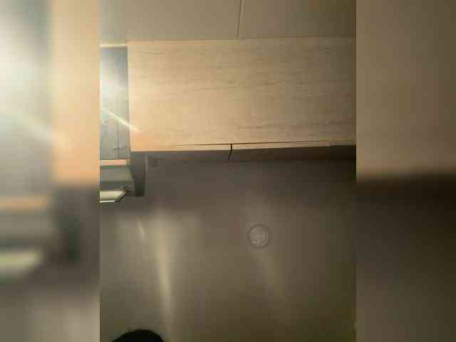EvanShell1 webcam