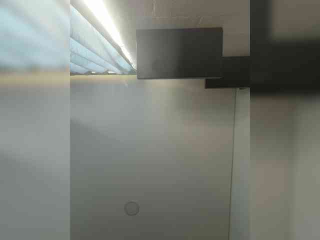 EvanShell1 webcam