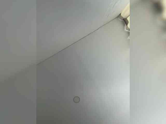 EvanShell1 webcam