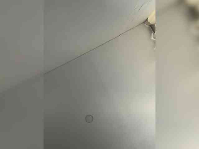 EvanShell1 webcam