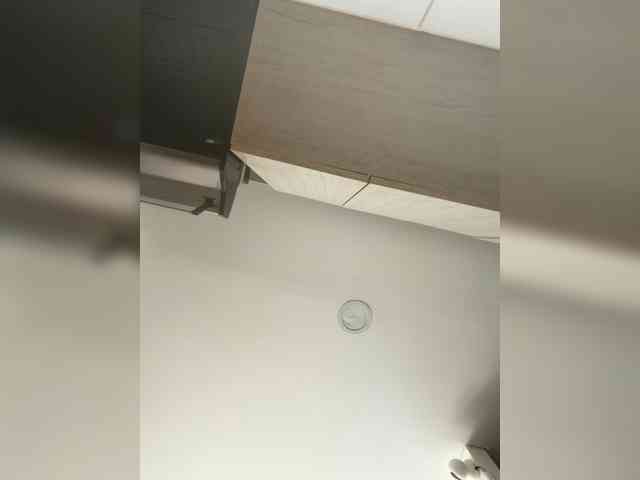 EvanShell1 webcam