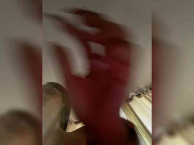 EvanShell1 webcam